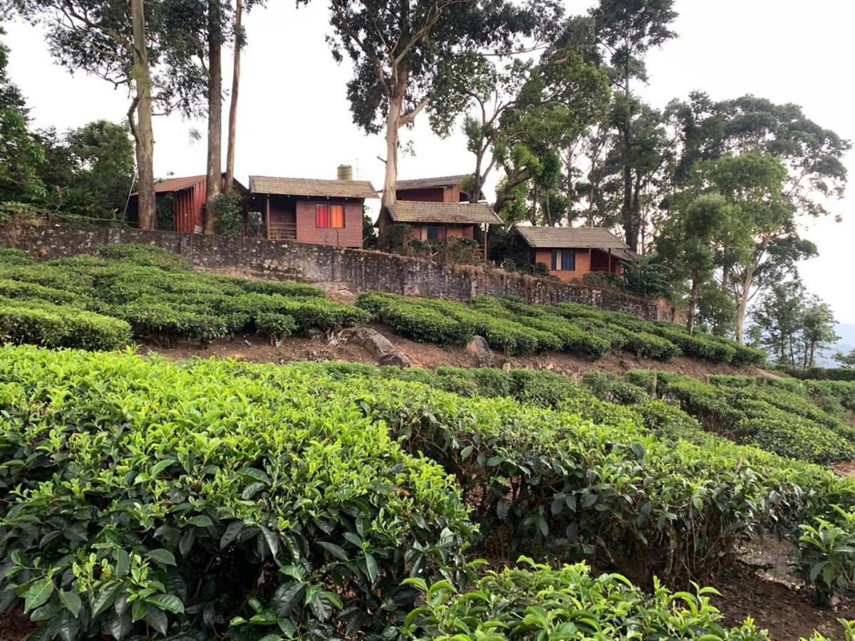 Holacasa Cottages Munnar Exterior foto